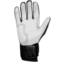 Bruce Bolt PREMIUM PRO Chrome Series Long Cuff Batting Gloves: Black -Sports Gear Shop LC CHRB PALM