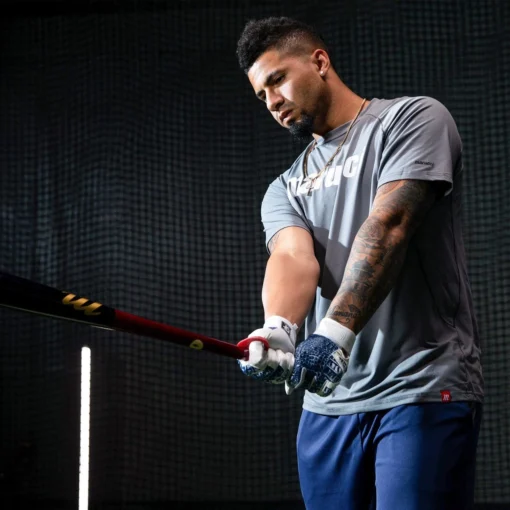 Marucci Gleyber Torres Maple Wood Baseball Bat: GLEY25 -Sports Gear Shop MVE2GLEY25 2 65739.1623184599